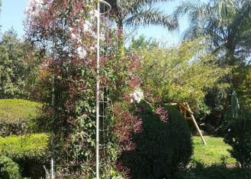 Musical Garden Cabins Ramot Rum bild