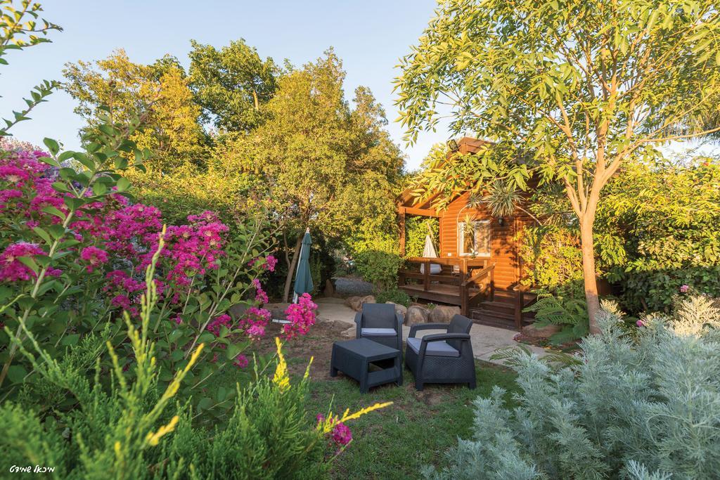 Musical Garden Cabins Ramot Exteriör bild