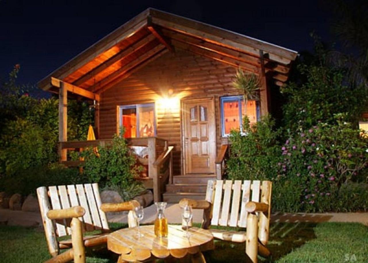 Musical Garden Cabins Ramot Exteriör bild